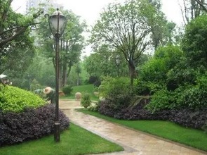 盐碱地园林绿化工程施工中的土壤管理方法及技术要求