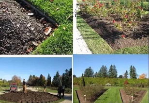 园林景观及园林绿化施工全解（收藏版）