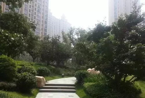 园林绿化工程施工技术规范 值得深入学习的专业指南