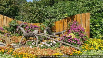 从创意生态雕塑到园林景观施工 一站式图文资源与图纸下载指南