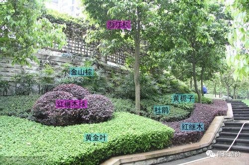 绿化养护期到底从哪开始计——园林绿化工程施工的关键节点